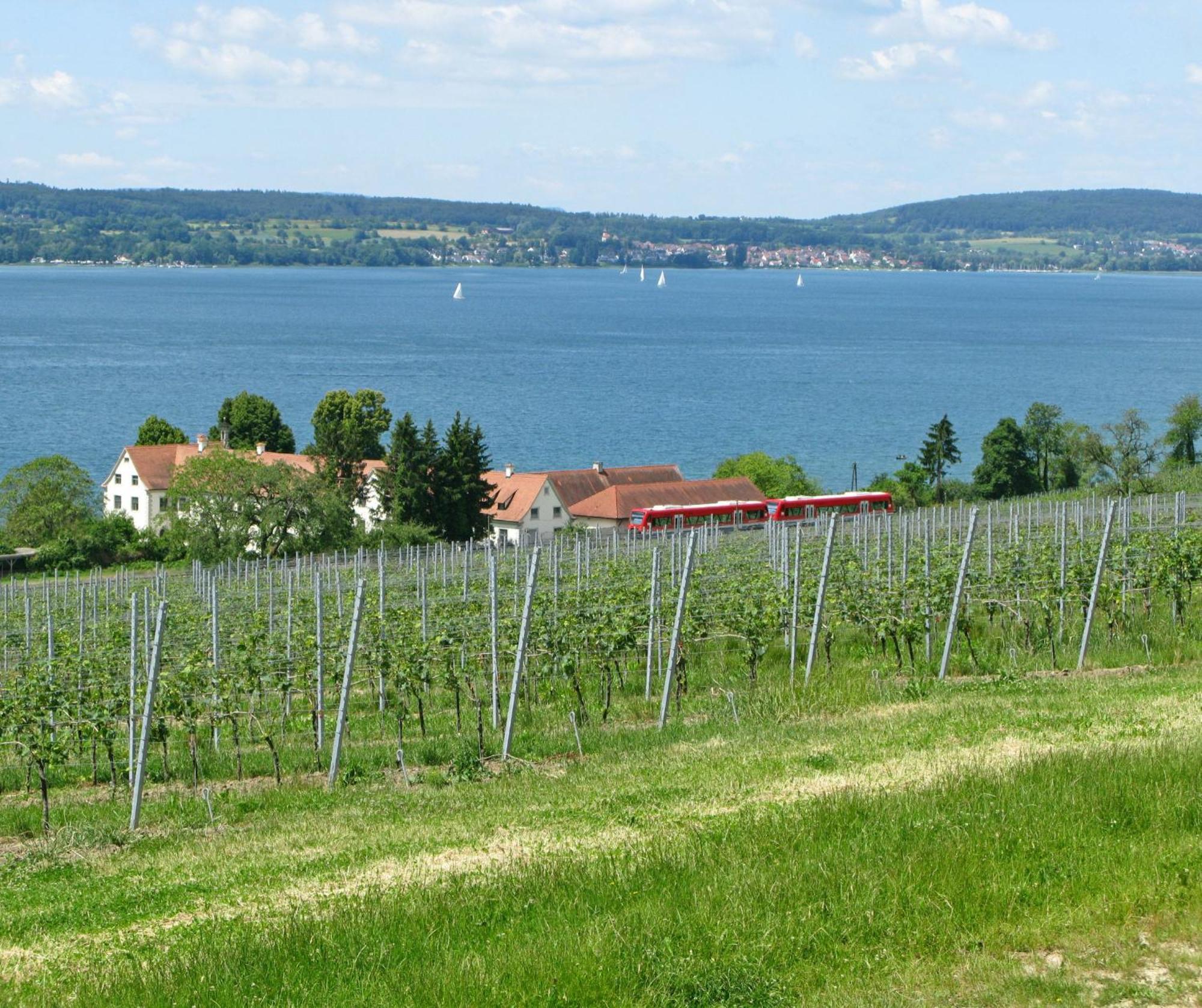 Apartament Ueberlinger Ferienidylle Uberlingen Zewnętrze zdjęcie